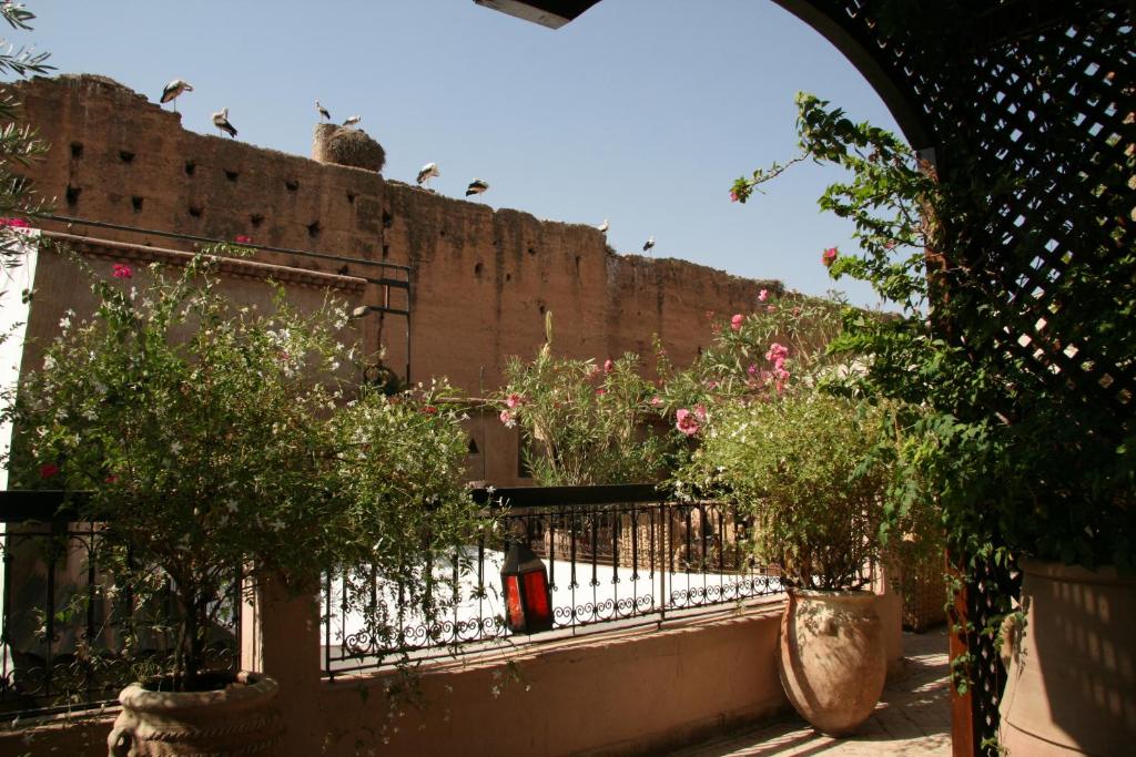 Riad Carina - image 7