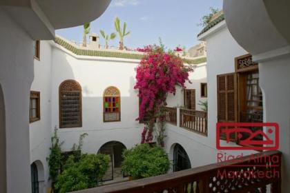 Riad Alma - image 15