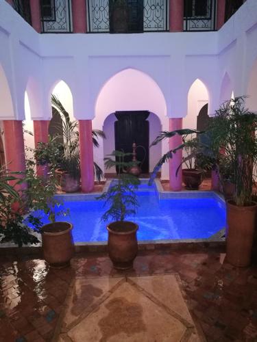 Riad Al Tainam - image 2