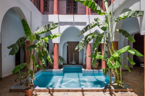 Riad Al Tainam - image 4