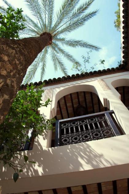 Riad Palmier - image 12