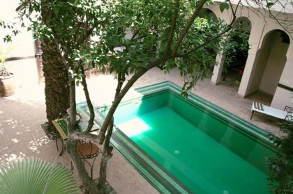 Riad Palmier - image 13