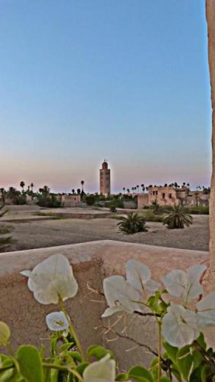 Riad Sidi Mimoune & Spa - image 8