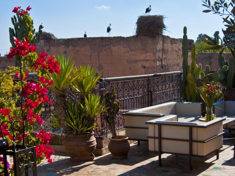 Riad Aladdin - image 7