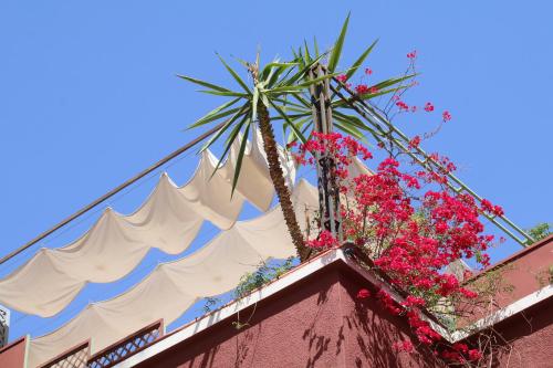 Riad Celia - image 3