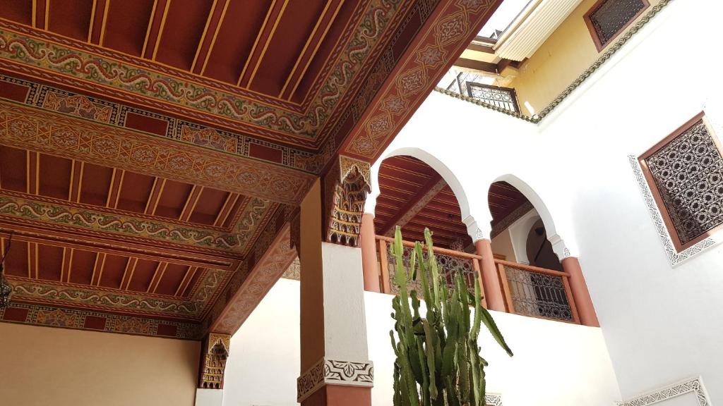 Riad Euphorbe - image 5