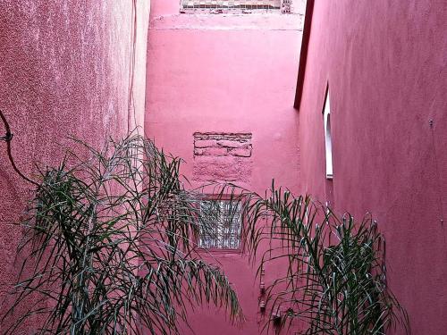 Riad D'ari - image 5