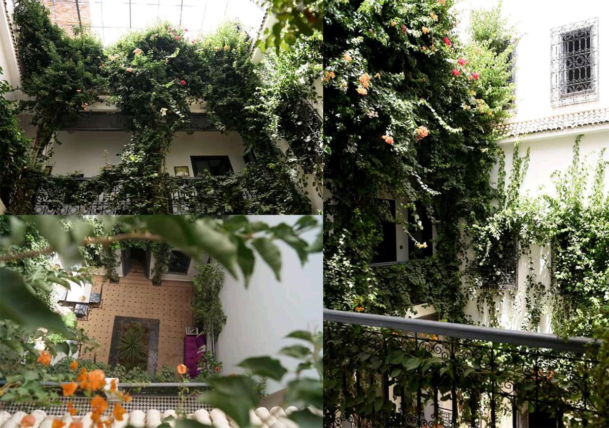 Bougainvillea Riad - main image