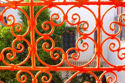 Bougainvillea Riad - image 15