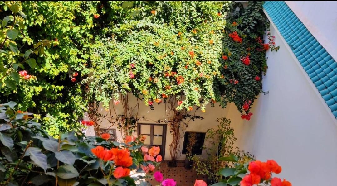 Bougainvillea Riad - image 2