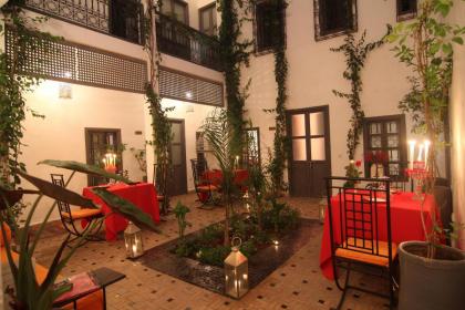 Bougainvillea Riad - image 20