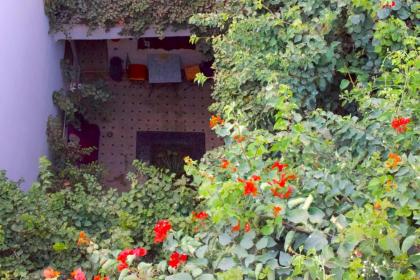 Bougainvillea Riad - image 3