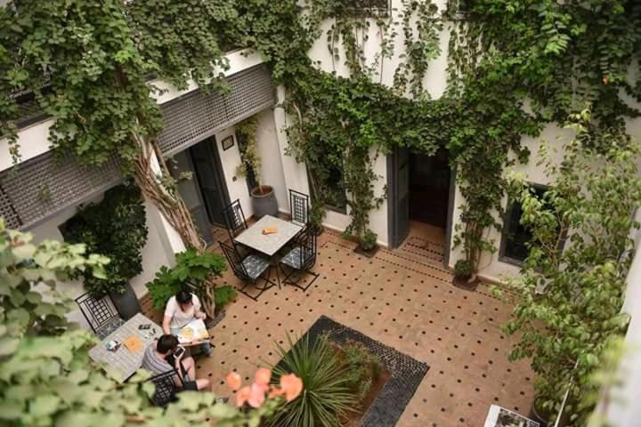 Bougainvillea Riad - image 6