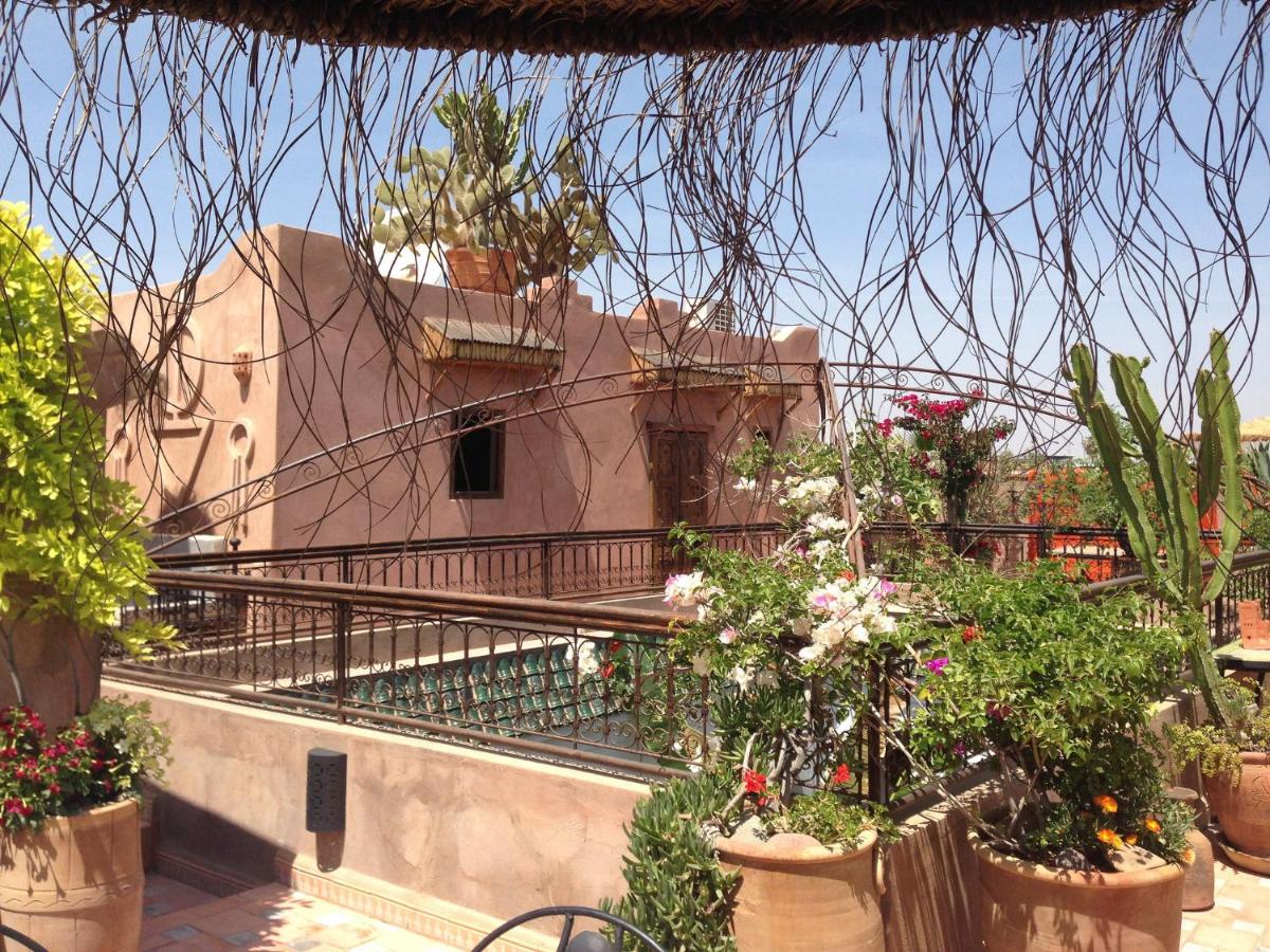 Riad Mehdia - main image