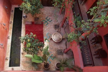 Riad Honey - image 2