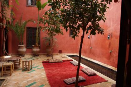 Riad Honey - image 5