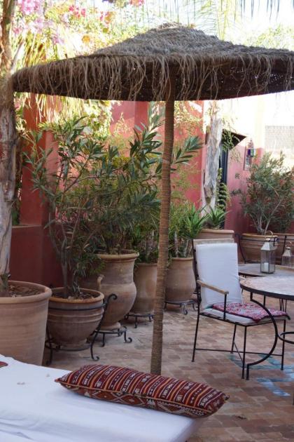 Riad Honey - image 6