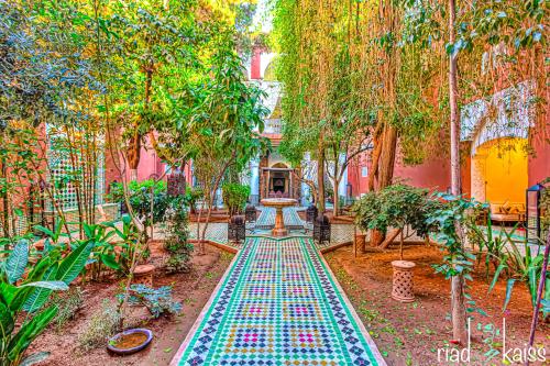 Riad Kaiss By Anika - image 6