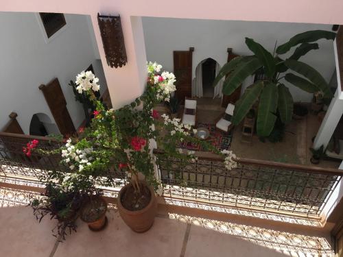 Riad UP - image 3