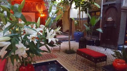 Riad Jenaï L'Authentique - image 8