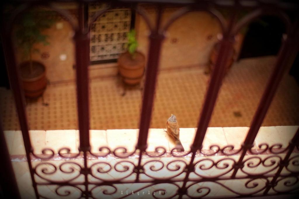 Riad Hôtel Marraplace - image 7