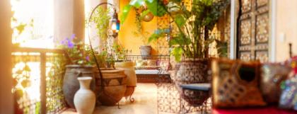 Riad Roxanne - image 5