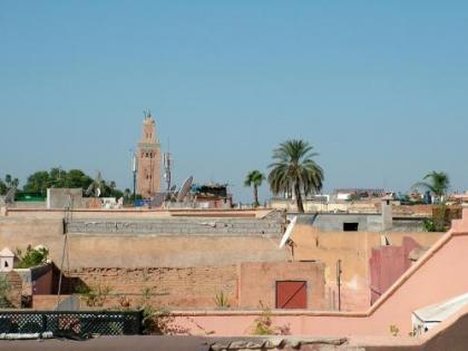 Riad Timila - image 4