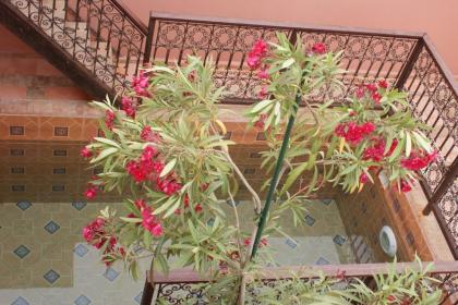 Riad Souad Marrakech - image 1