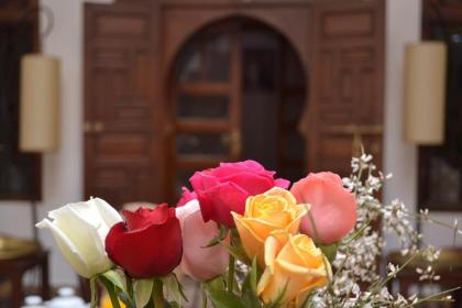 Riad Morocco Sky - image 8