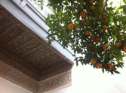 Riad Dar Dounia - image 8