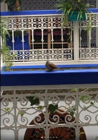 Riad Hôtel Essaouira - image 8