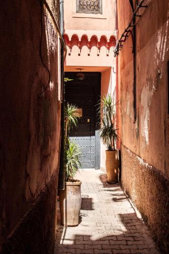 Riad Danka - image 5