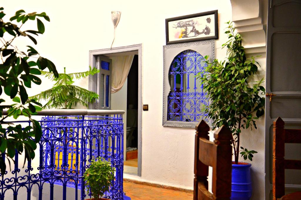 Riad Wink - main image