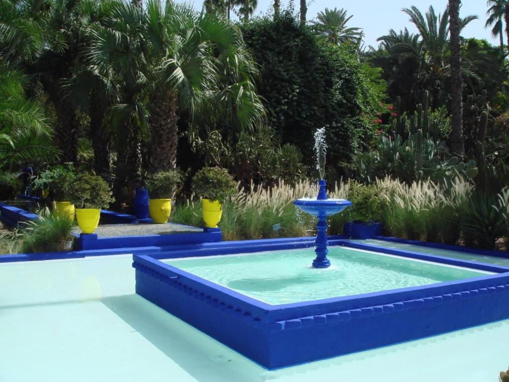 Appart avec vue Jardin/Majorelle - image 6