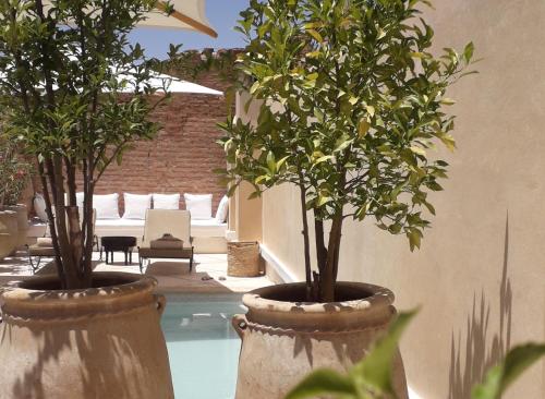 Riad & Spa Azzouz - image 3