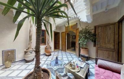 Riad abaka by ghali 2 - image 7