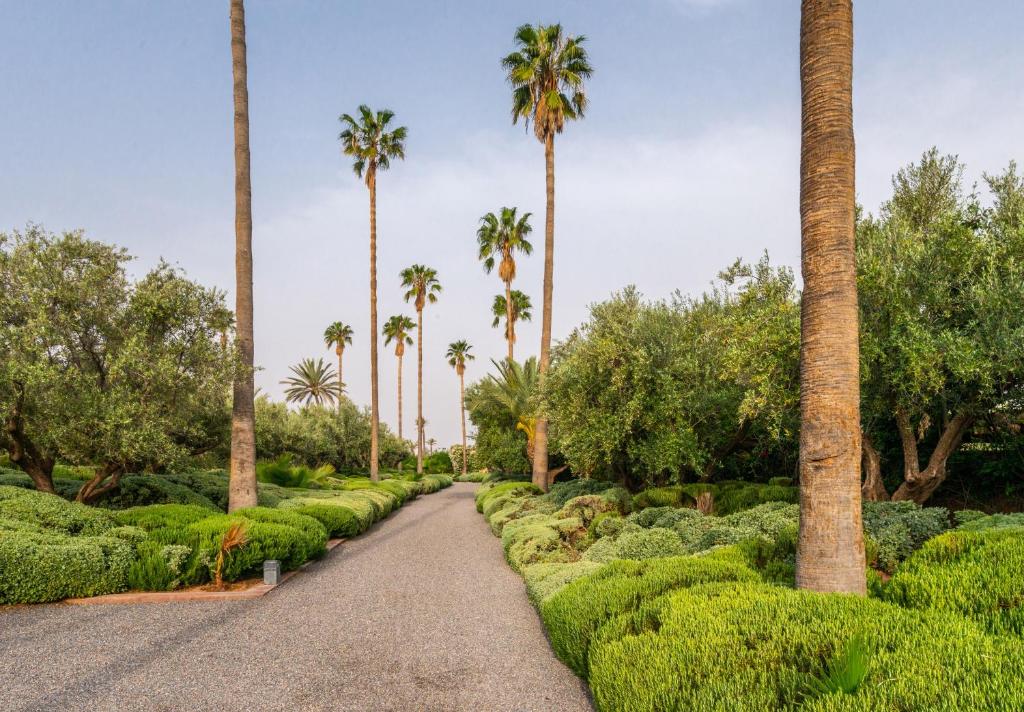 Zagora and Marhba villas Marrakech - by EMERALD STAY - image 5