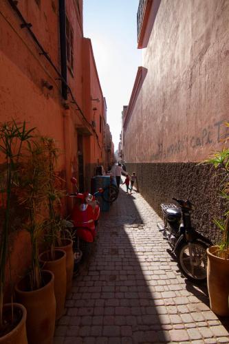 riad mimoune - image 7