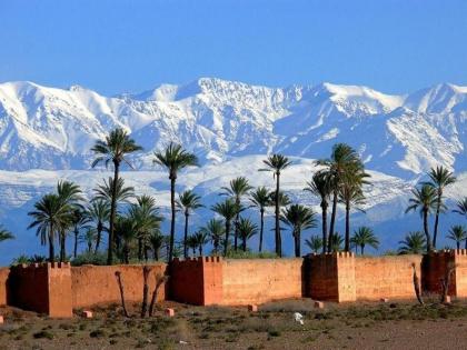 Riad Le Nid Bleu Marrakech - image 20