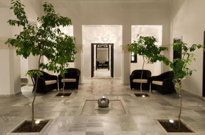 Riad Sapphire & Spa - image 18