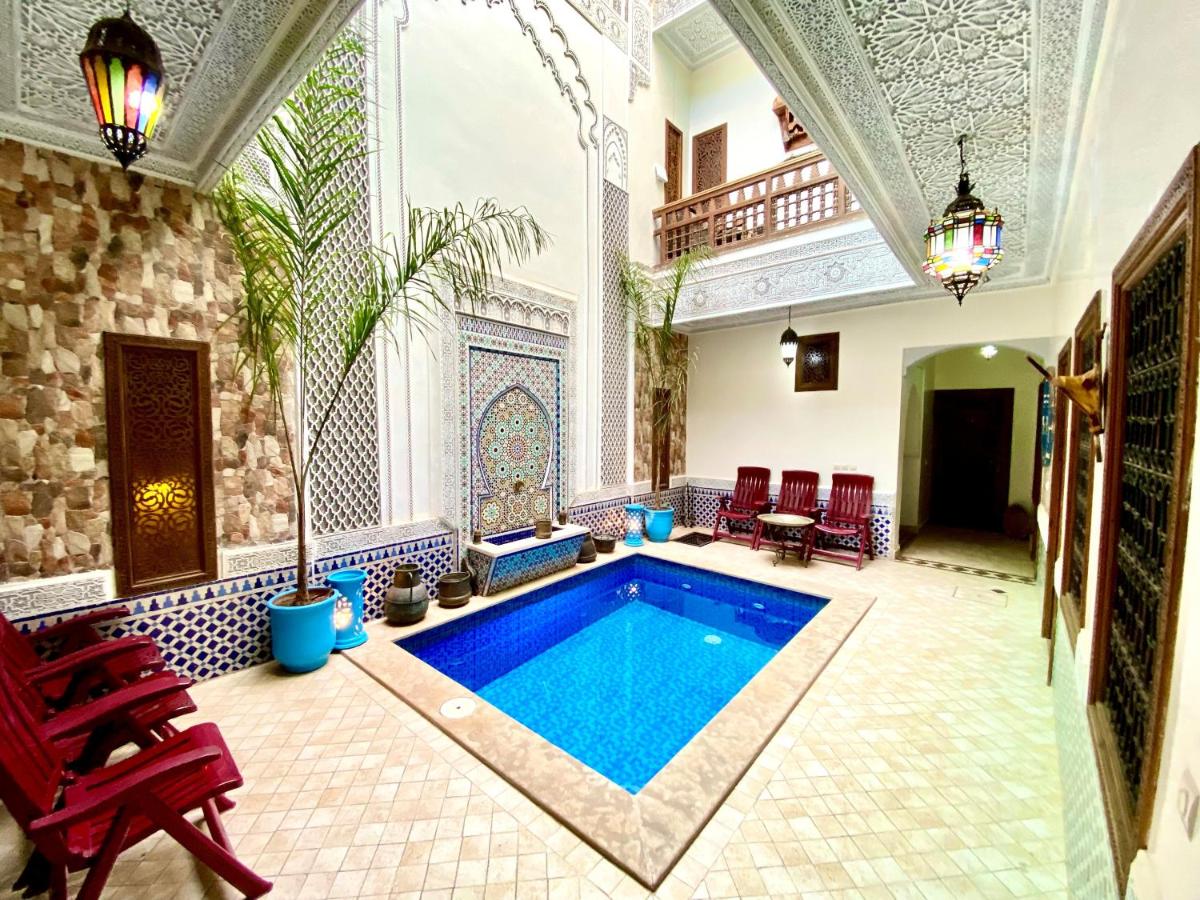 Riad Nouhal - main image