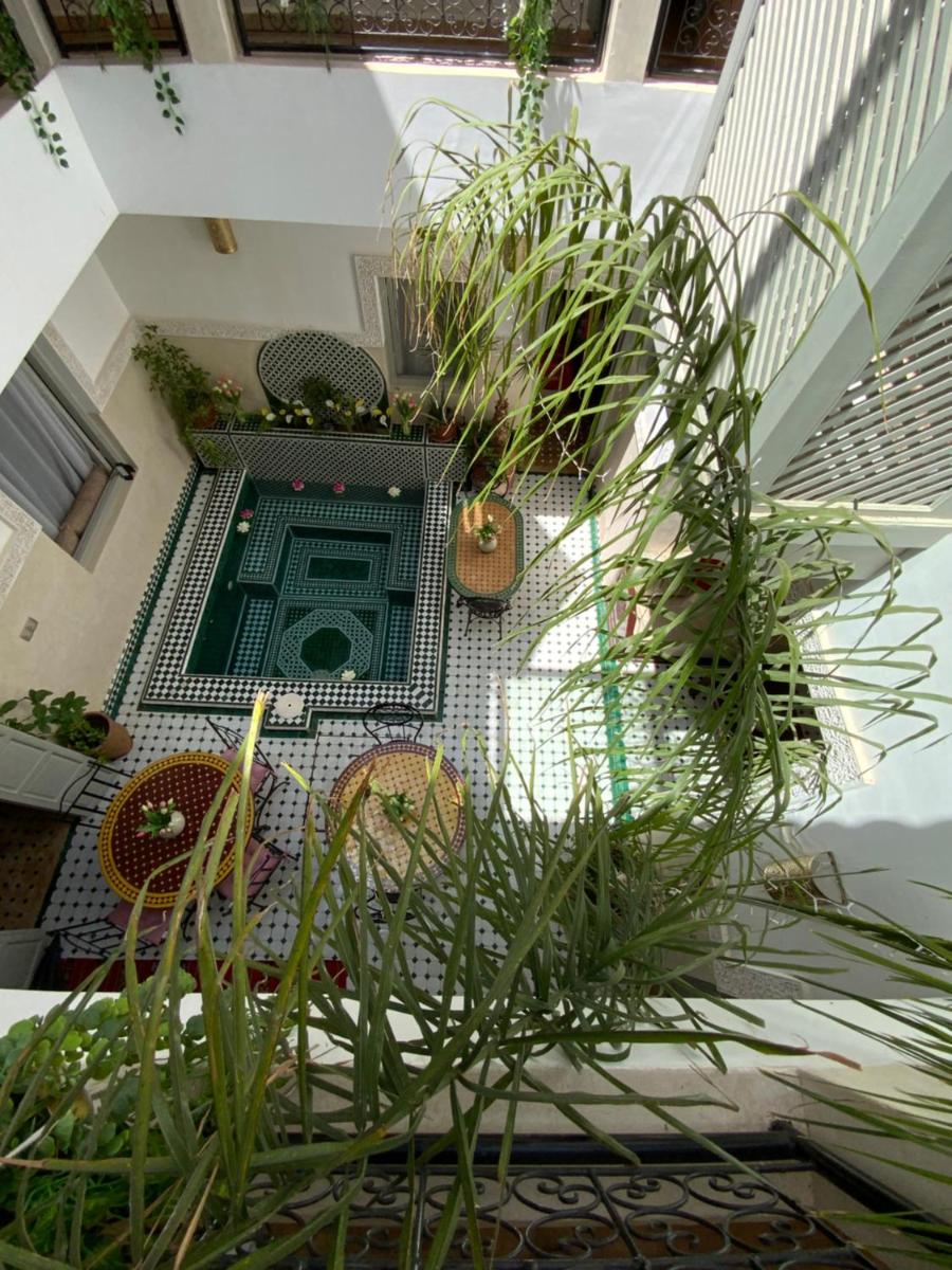 Riad Magnolia - main image