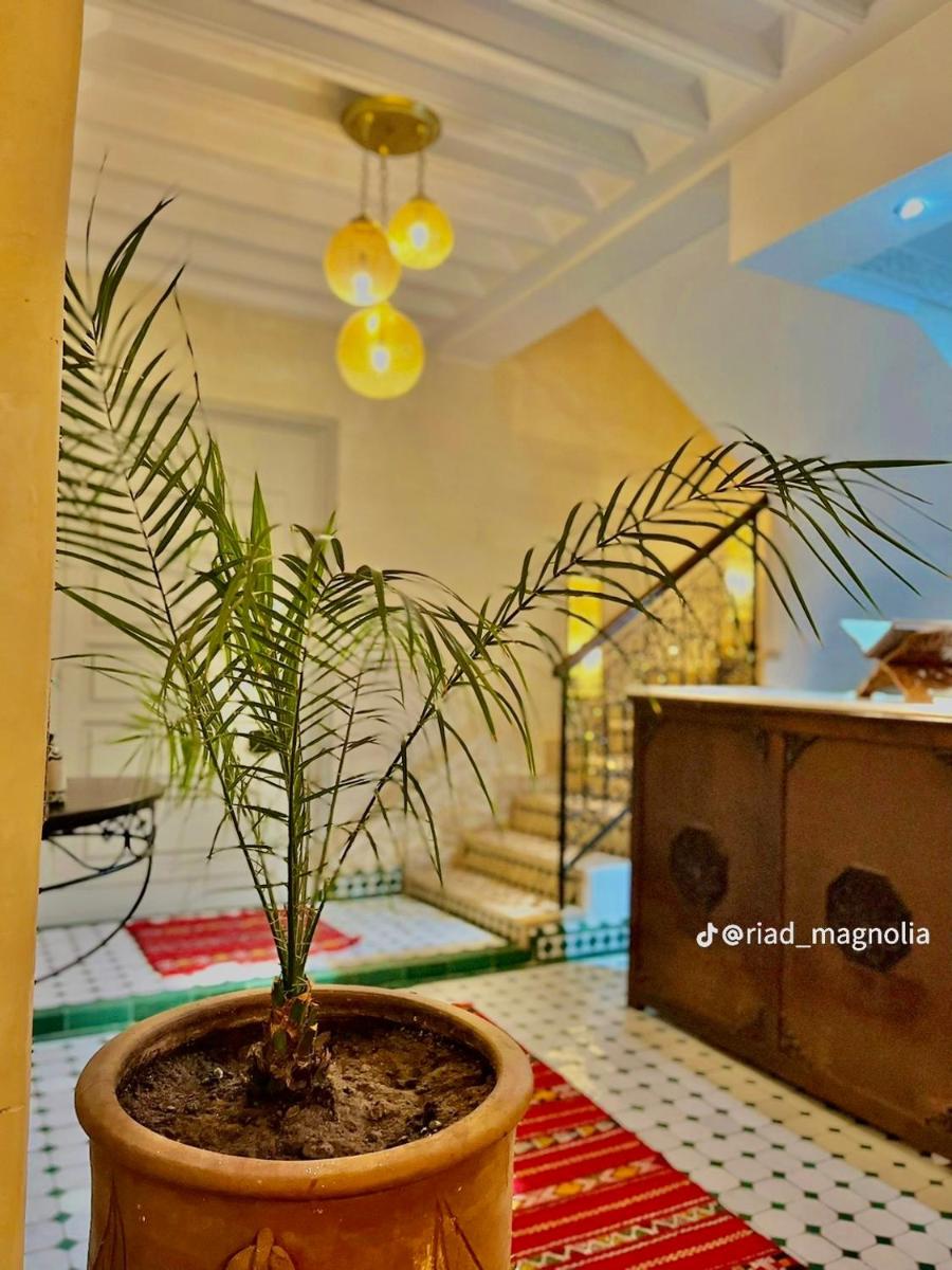 Riad Magnolia - image 6