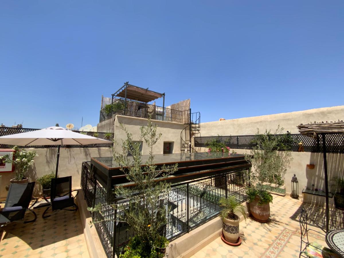 Riad Magnolia - image 7