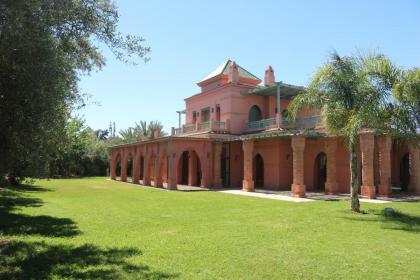 nakhil villa palm - image 10