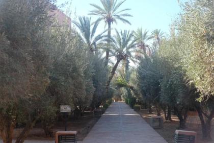 Eden Palm Resident Palmeraie Marrakech - image 14