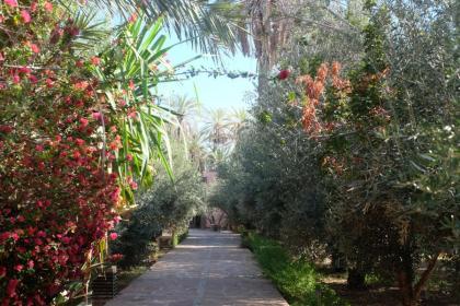 Eden Palm Resident Palmeraie Marrakech - image 20