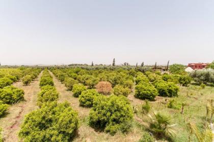 Luxery Villa Marrakech - image 10