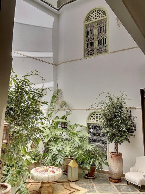 Riad Dar Chacha - image 4